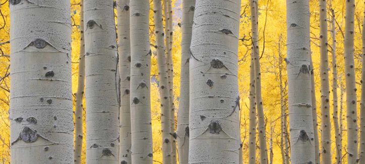 Colorado Mountain College